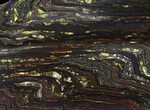 Polished Tiger Iron Stromatolite - ( Billion Years) #65246-1